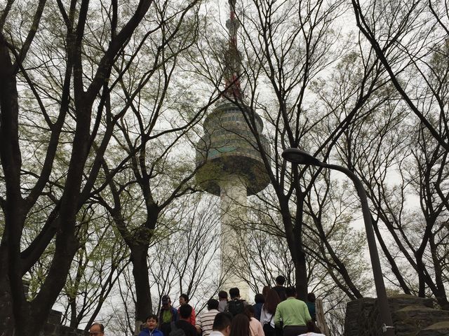 首爾塔+南山公園半日遊