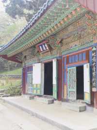 [Tradition Korean Culture]⭐️National Park⭐️