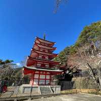 ใบไม้เปลี่ยนสีที่เจดีย์แดง (Chureito Pagoda)