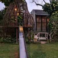 แอบอิงหมอก โอบกอด ธรรมชาติ ที่ พราวภูฟ้ารีสอร์ท