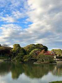 【六義園】　東京の隠れた紅葉🍁スポット
