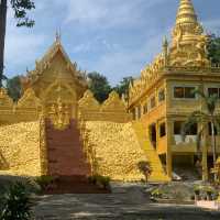 วัดป่ายาง ชุมพร