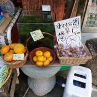 栗林公園　花園亭　焼きたてみたらし団子