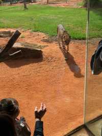 ウェロビー自然動物園／メルボルン