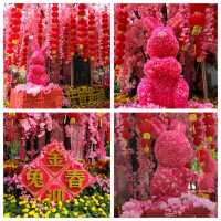 新春的香港公園x太古廣場🐇🎊🌺