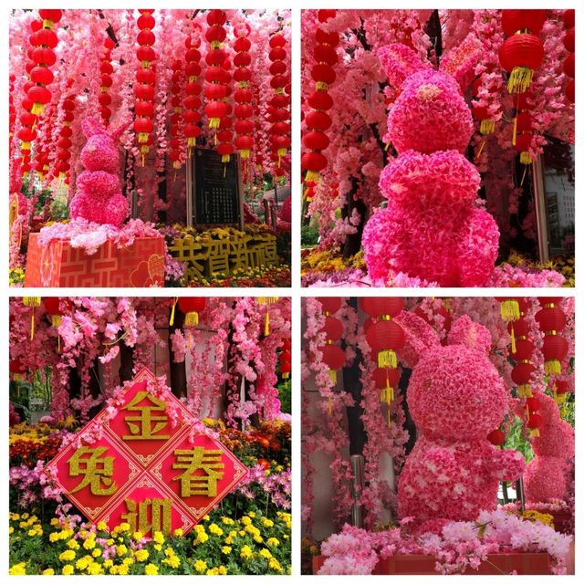 新春的香港公園x太古廣場🐇🎊🌺