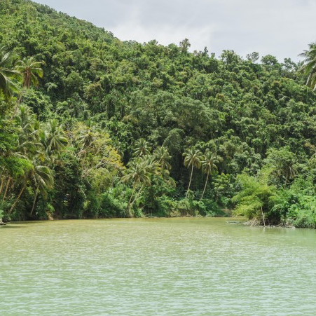 필리핀의 아마존, 보홀 로복강 투어 