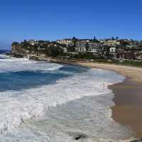 Sydney Bronte-Bondi Coastal Walk