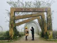 Fall in love @ Fansipan!