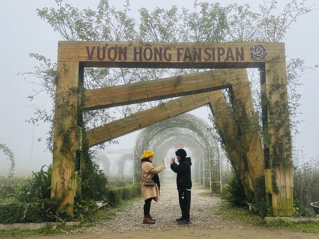 Fall in love @ Fansipan!