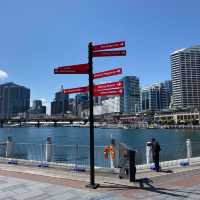 เดินเล่นที่ท่าเรือที่รัก Darling Harbour ❤️