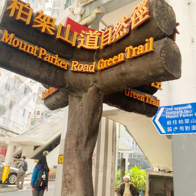 栢架山道自然徑➡️大潭水塘➡️淺水灣 栢架山道自然徑➡️大潭水塘➡️淺水灣