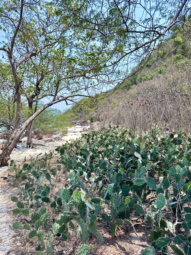 หาดตายาย ที่เที่ยวเกาะล้าน หาดสวย น้ำใส 