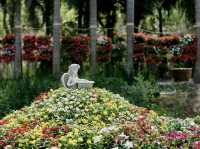 Songkhla Flower Farm ... หาดใหญ่ จ.สงขลา