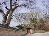 韓國世界遺產之一🇰🇷昌德宮