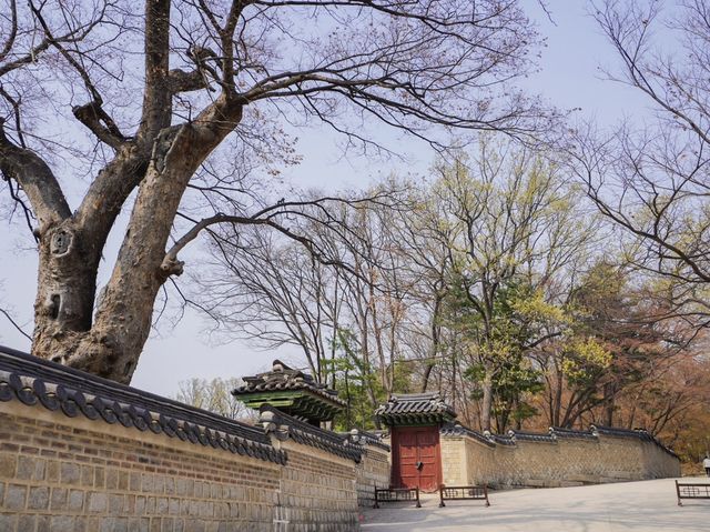 韓國世界遺產之一🇰🇷昌德宮