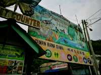 Experience to the Butterfly Farm
