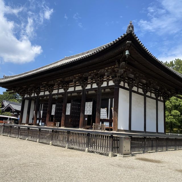 名勝「奈良公園」観光客で賑わい鹿は元気でした