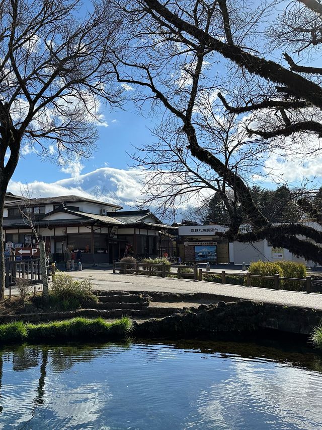 Little cute village with Mt Fuji view 