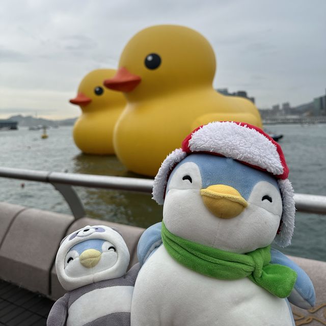 Penguins meet Rubber Ducks