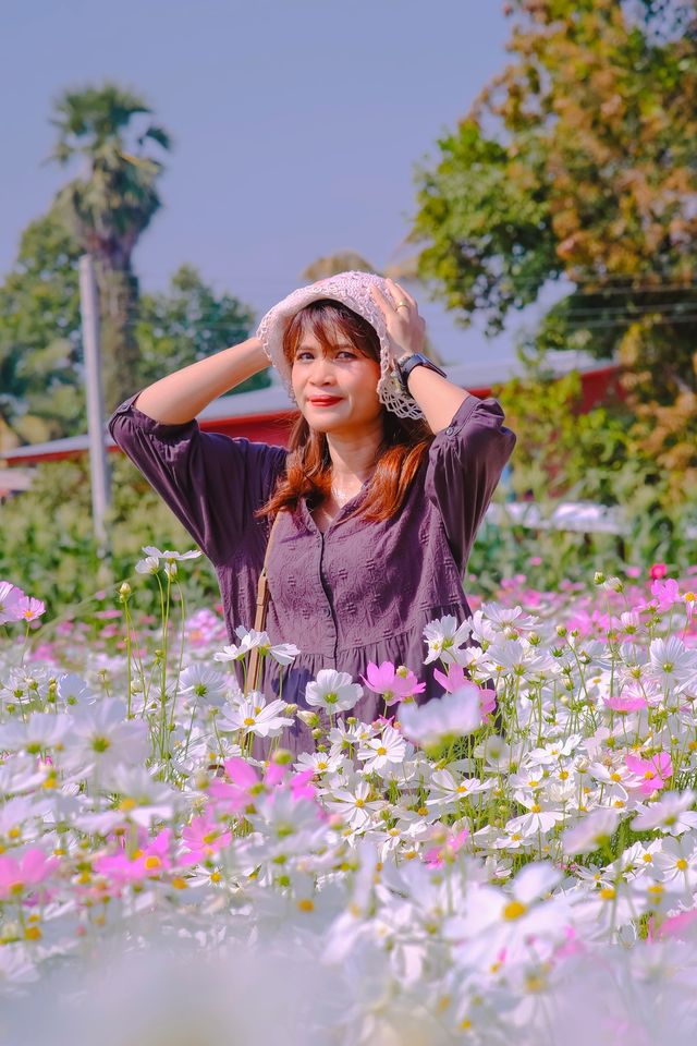 JP Farm Phitsanulok