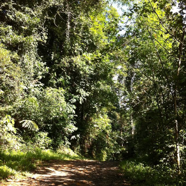 Khao Sok National park 自然生態遊記