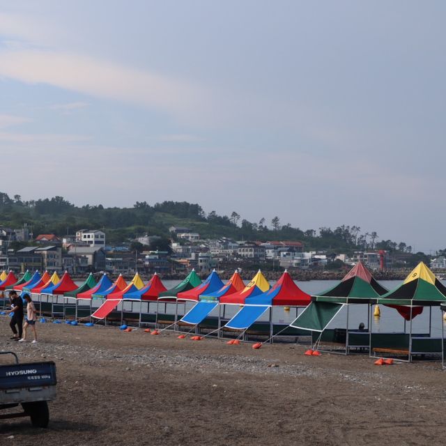 경주 역사 여행, 경주문무대왕릉🌊