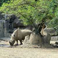 【臺北市立動物園】：樂學給合♡親子探索自然的夢幻之旅