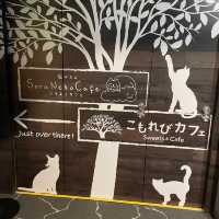 カワスイで一息つくなら☕️こもれびカフェ