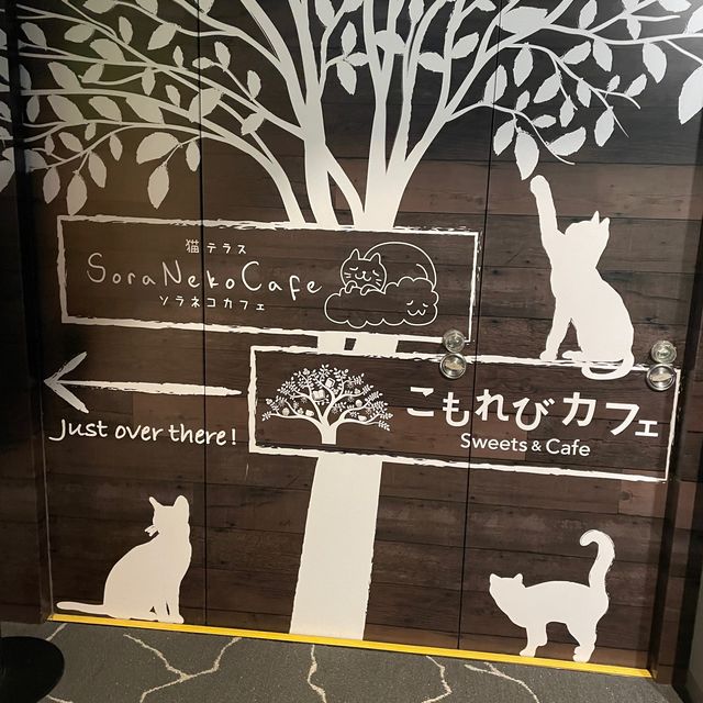 カワスイで一息つくなら☕️こもれびカフェ
