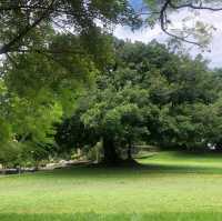 台中公園