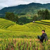 Vành Móng Ngựa Terraced Rice Fields