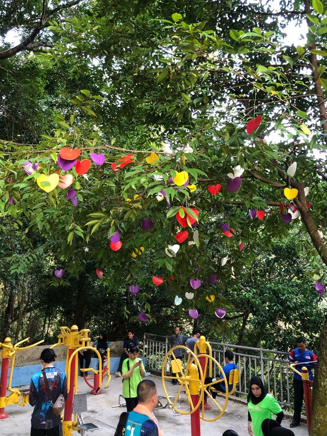A healthy hiking trip in Penang