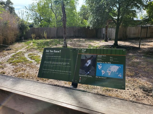Houston Zoo 🐘✨
