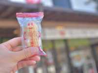 成田山新勝寺の食べ歩きと参道