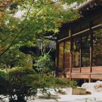 天授庵庭園～靜謐與自然🍵🌸🏯