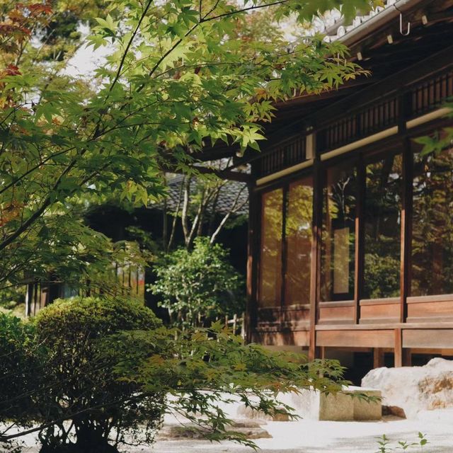 天授庵庭園～靜謐與自然🍵🌸🏯
