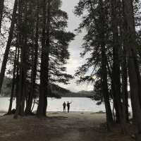 Yosemite Nature Park