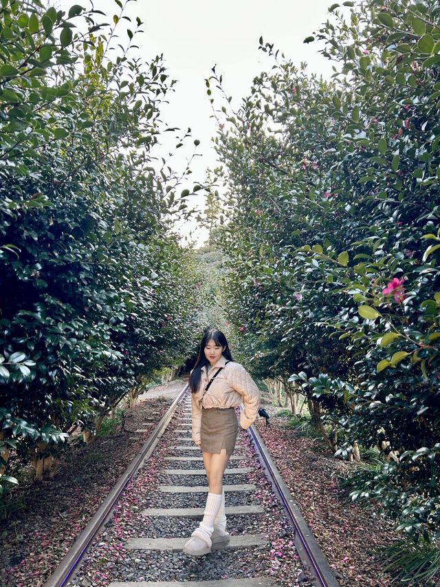 포토존이 가득한 제주 핫플레이스✨