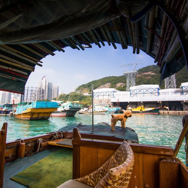 Boat Tour at Ap Lei Chau in Hong Kong