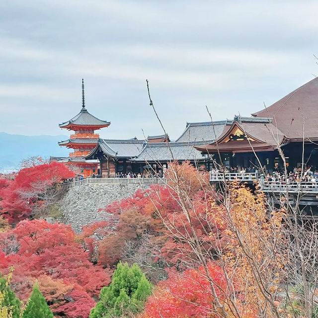 Kiyomizu-dera temple in Kyoto 🇯🇵