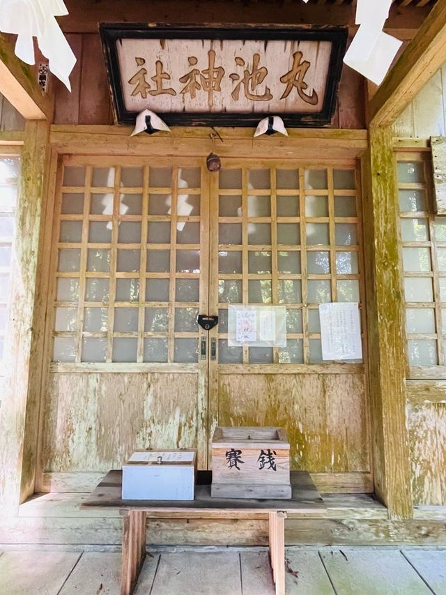 【山形県/丸池神社】2023年行ってよかった！山形県の神社③