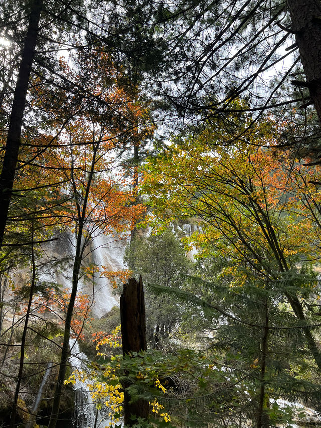 人間仙境中的童話世界-九寨溝🏞️
