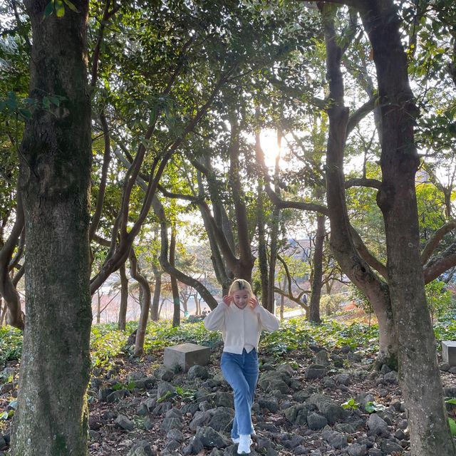 카멜리아힐에선 다양한 포즈를 마음껏 즐겨보세요🌺