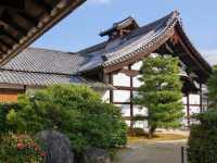 【京都市】艶やかなアートが誘うお寺🎨