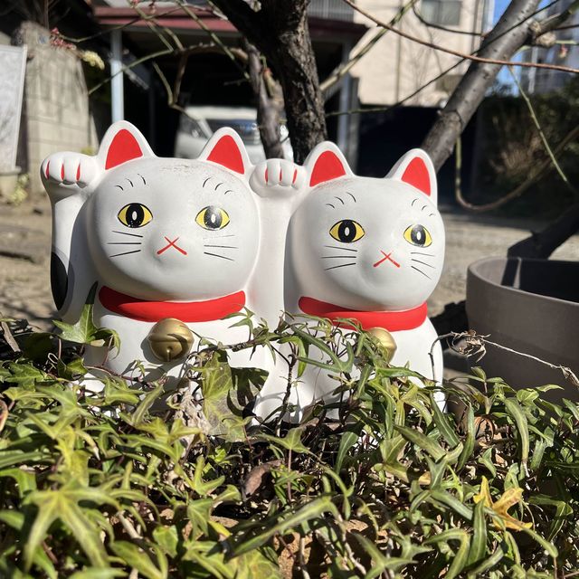 招財貓的發源地：淺草「今戶神社」無論是單身或是戀愛升溫也要一段好姻緣吧！