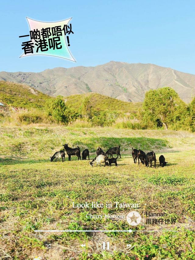 靚到好似台灣郊外一樣