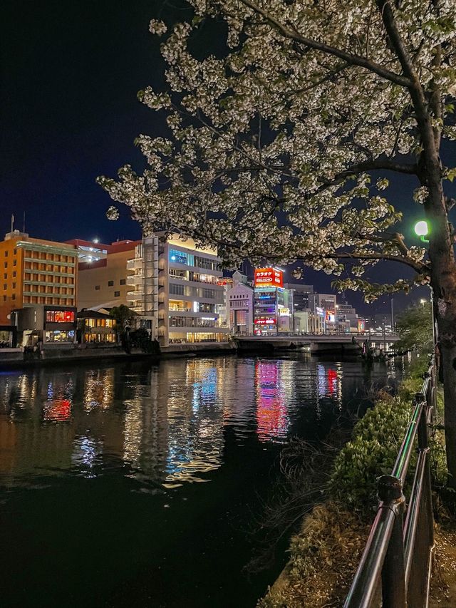 나카스 강변 포장마차거리, 밤의 일본 즐기기