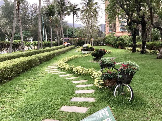 Journey through Hong Kong Gold Coast