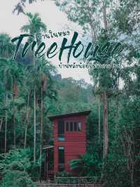 บ้านในหมง Treehouse 